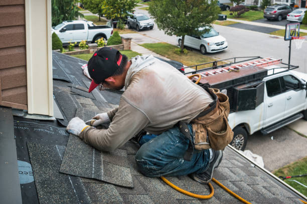 Professional Roofing technician working in Lena, IL